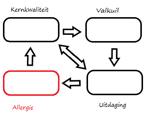 kernkwadranten allergie