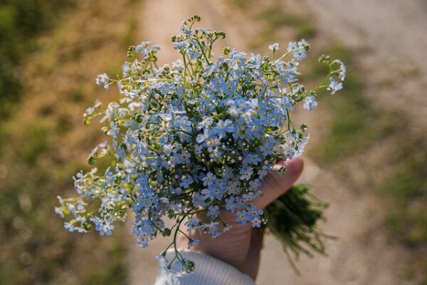 geluksmomenten vergeetmijniet bloemen