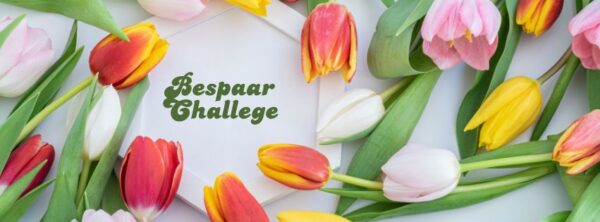 bespaar challenge